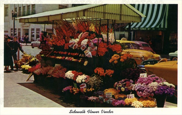 Sidewalk flower vendor, San Francisco, California, USA, 1957. Artist: Unknown