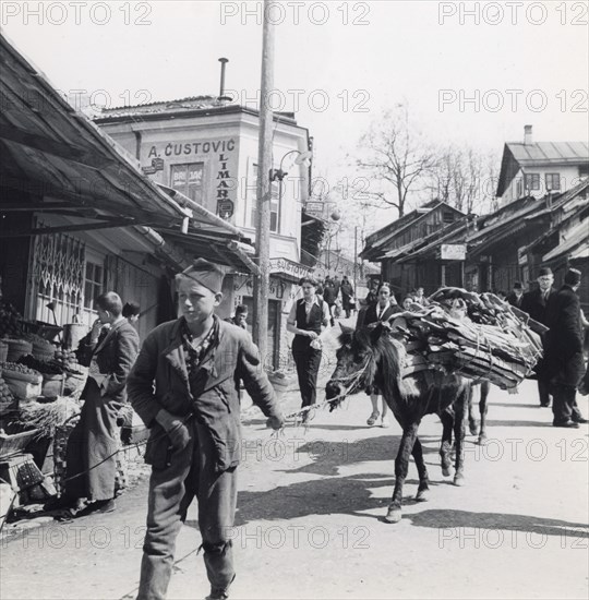 Boy leading a donkey along a street, Sarajevo, Bosnia-Hercegovina, Yugoslavia, 1939. Artist: Unknown