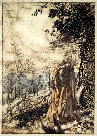 'Brunnhilde stands for a long time, dazed and alarmed', 1910.  Artist: Arthur Rackham