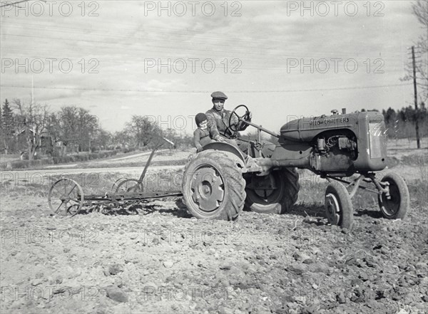 Harrowing with an Allis-Chalmers tractor, Sweden, 1950. Artist: Torkel Lindeberg