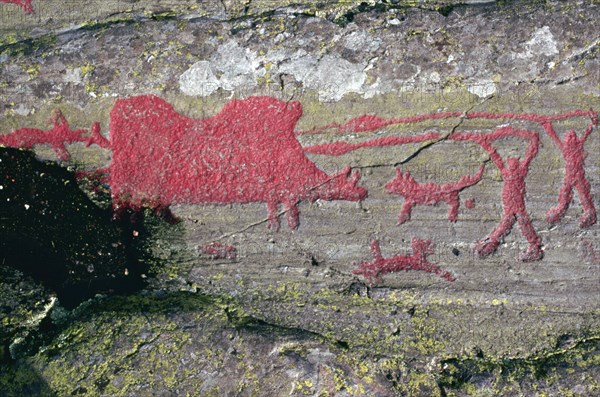 Hunting wild boars, Bronze Age rock carving, Himmelstalund, Norrköping, Östergötland, Sweden. Artist: Arne Broman