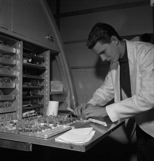 Preparing food, SAS cabin crew school, Bromma, Stockholm, Sweden, 1960. Artist: Torkel Lindeberg