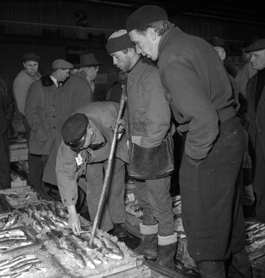 Wholesalers and fishmongers at the fish auction, Gothenburg, Sweden, 1960. Artist: Torkel Lindeberg