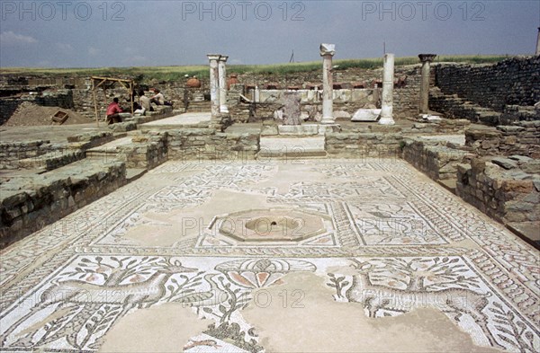 Mosaic, ruins of the Roman town of Stobi, Gradsko, Macedonia.