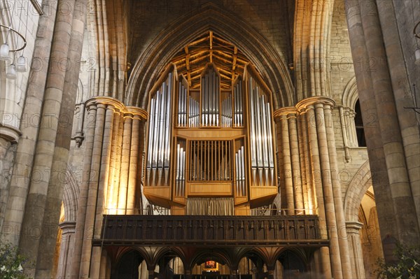 Organ, Hexham Abbey, Northumberland, 2010. Creator: Peter Thompson.