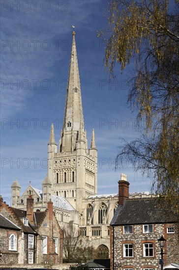 Norwich Cathedral, Norfolk, 2010.