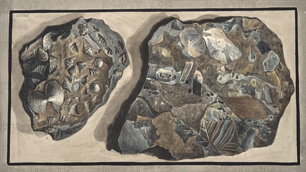Piece of marble composed of fragments of various sorts of marble found in the Fossa Grande, 1776.