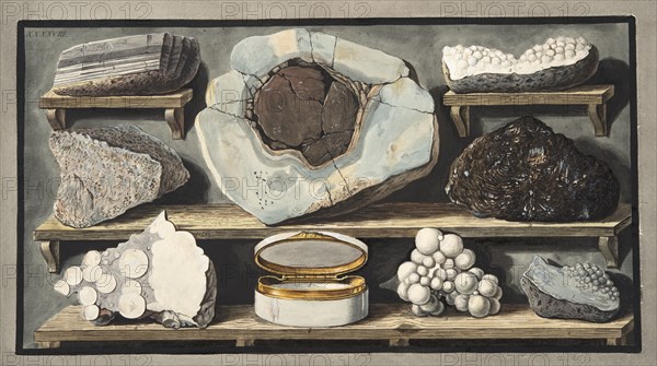 Specimens of curious stones found by the Author on Mount Vesuvius, 1776.