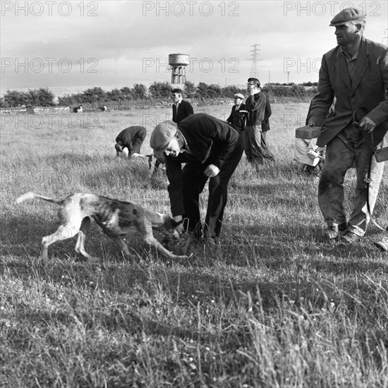 Hound Trailing, one of Cumbria's oldest and most popular sports, Keswick, 2nd July 1962. Artist: Michael Walters