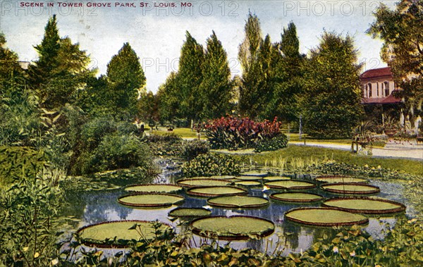 Scene in Tower Grove Park, St Louis, Missouri, USA, 1908. Artist: Unknown