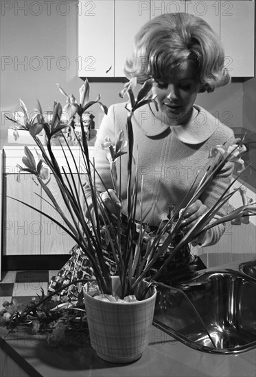 Kitchen scene, Warwick, Warwickshire, 1966. Artist: Michael Walters