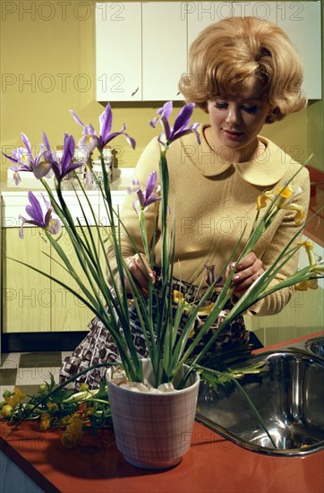 Kitchen scene, Warwick, Warwickshire, 1966. Artist: Michael Walters