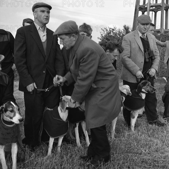 Hound Trailing, one of Cumbria's oldest and most popular sports, Keswick, 2nd July 1962. Artist: Michael Walters