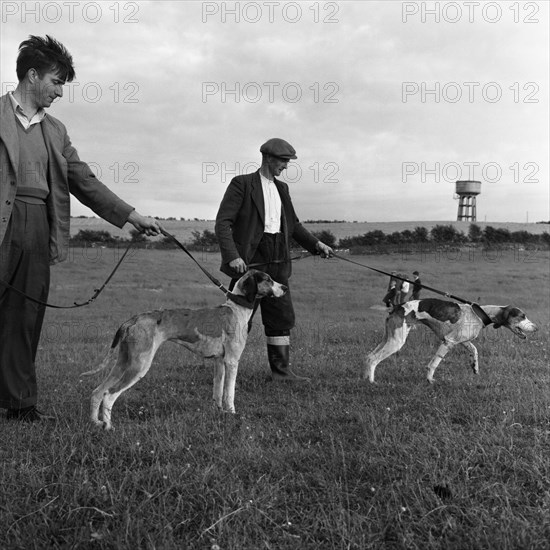 Hound Trailing, one of Cumbria's oldest and most popular sports, Keswick, 2nd July 1962. Artist: Michael Walters