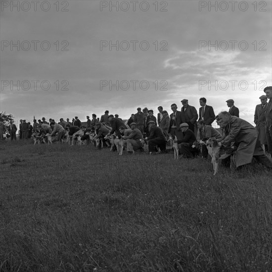 Hound Trailing, one of Cumbria's oldest and most popular sports, Keswick, 2nd July 1962. Artist: Michael Walters