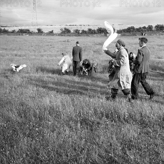 Hound Trailing, one of Cumbria's oldest and most popular sports, Keswick, 2nd July 1962. Artist: Michael Walters