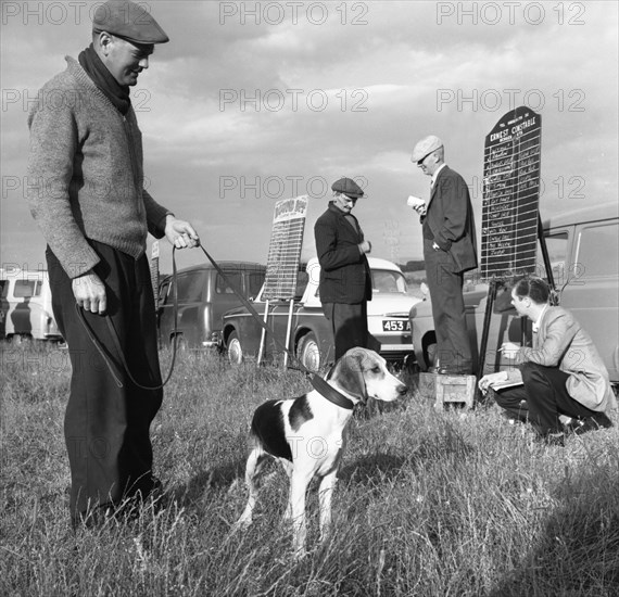 Hound Trailing, one of Cumbria's oldest and most popular sports, Keswick, 2nd July 1962. Artist: Michael Walters