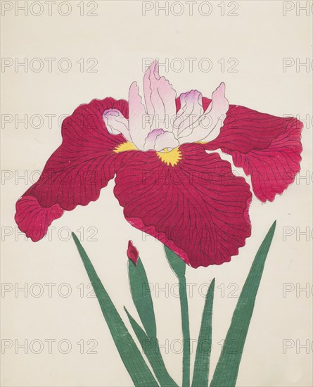 Yamamatayama, No. 83, 1890, (colour woodblock print)