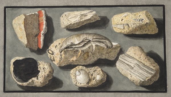 Specimens of Tufa found in and around Herculaneum, 1776.