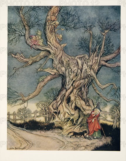 Major Andre's Tree, from The Legend of Sleepy Hollow, 1928.