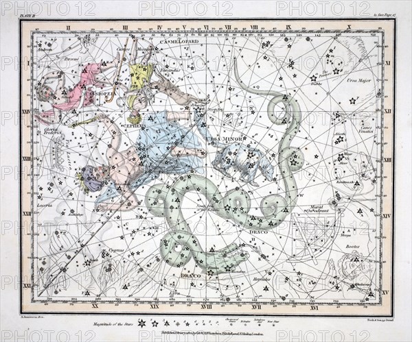 The Constellations (Plate II) Ursa Minor,  Cassiopeia,  Tarandus, Cepheus,  Draco, Custos Messium,