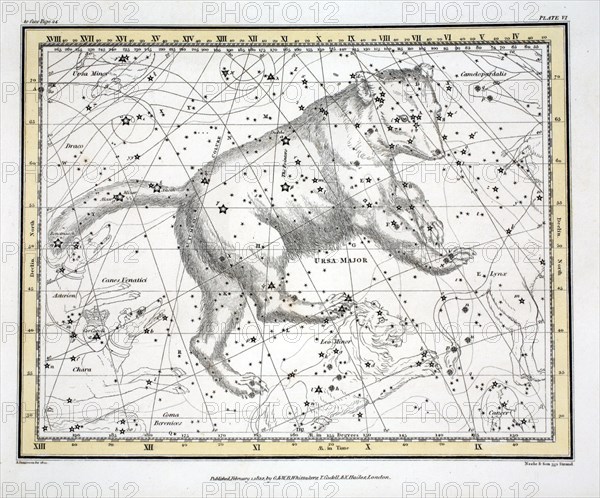 The Constellations (Plate VI) Ursa Major, from A Celestial Atlas by Alexander Jamieson,  1822.