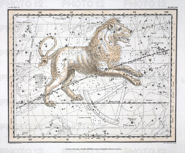 The Constellations (Plate XVII) Leo, 1822.