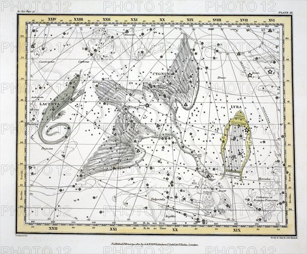 The Constellations (Plate XI) Cygnus, Lacerta and Via Lactea, 1822.