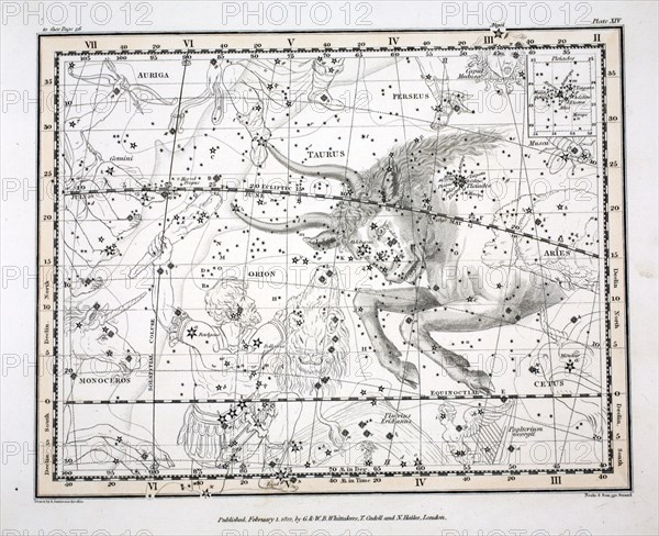 The Constellations (Plate XIV)Taurus, 1822.