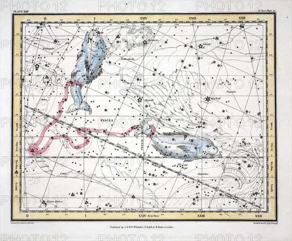 The Constellations (Plate XXII) Pisces, 1822.