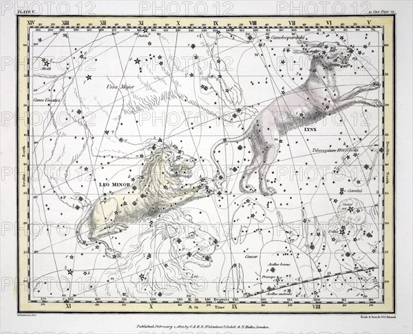The Constellations (Plate V) Lynx, Leo Minor, 1822.