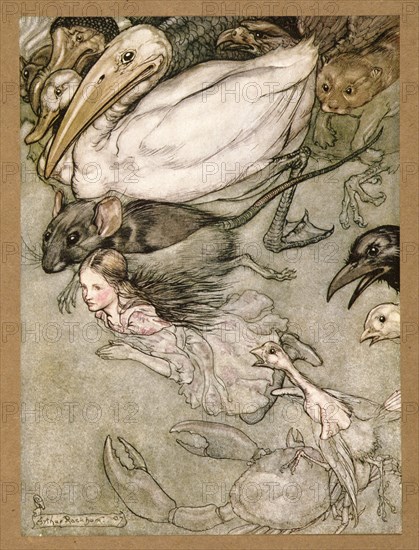 The Pool of Tears, from Alice's Adventures in Wonderland, by Lewis Carroll, pub. 1907.