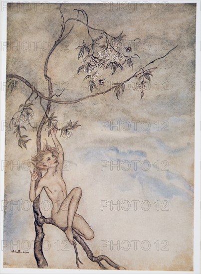 Merrily, merrily shall I live now under the blossom that hangs on the bough, illustration from 'The