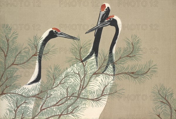 Tsuru, from Momoyo-gusa (The World of Things) Vol II, pub.1909 (colour block woodcut)