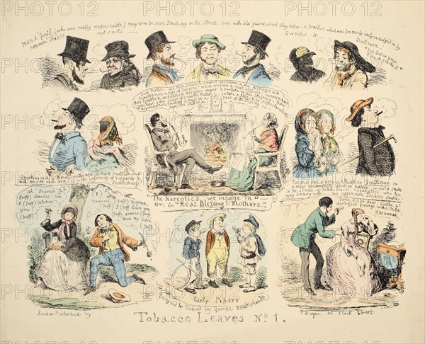 Tobacco Leaves No. 1, pub. 1851 (hand coloured engraving)