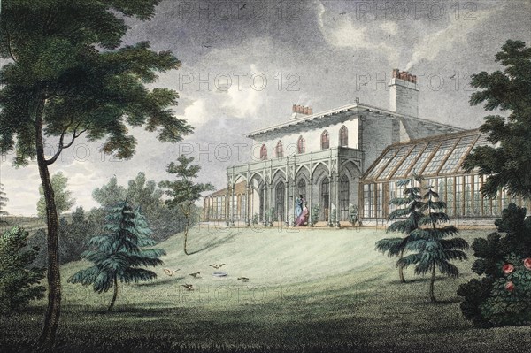 Mount Ararat, Wimbledon, pub. c. 1828 (hand coloured engraving)