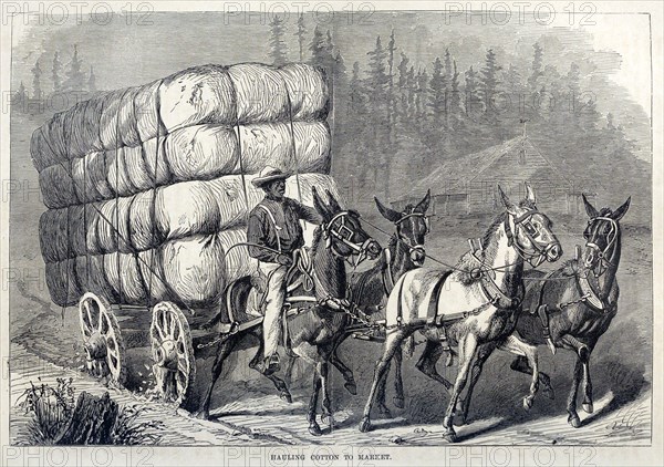 Hauling Cotton to Market, from One Hundred Years' Progress of the United States, pub. 1871 (engravin Creator: American School (19th Century).