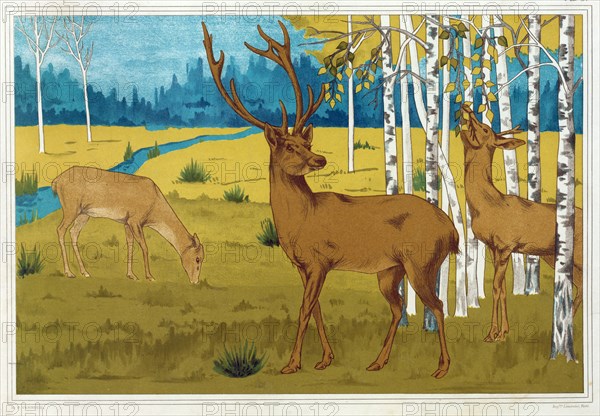 Deer, from 'L'Animal dans la Decoration', pub. 1897. Creator: Maurice Pillard Verneuil (1869?1942).