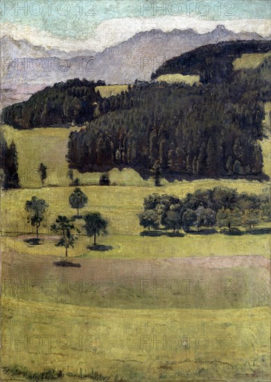 'Landscape, Oaks at Stockhorn', 1898.  Artist: Ferdinand Hodler