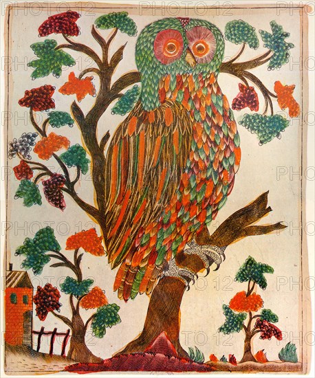 Owl, Lubok print, 1800. Artist: Unknown