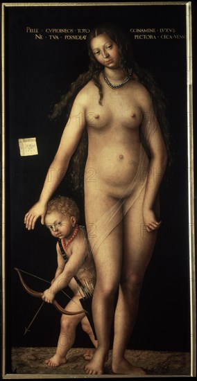 'Venus and Cupid', 1509.