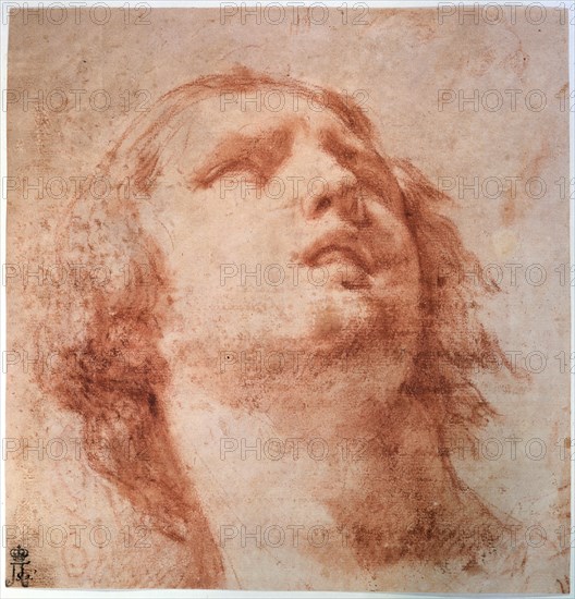 'Head study of a woman looking up', 17th century. Artist: Pietro da Cortona