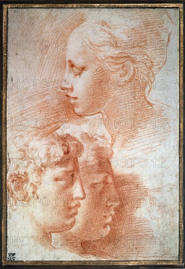 'Study of the heads', c1527. Artist: Parmigianino