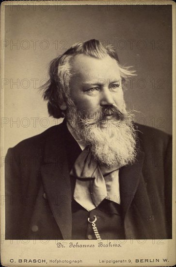 Johannes Brahms, German composer and pianist, 1889. Artist: C Brasch