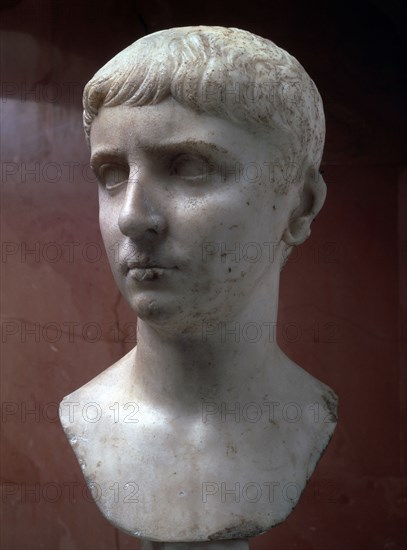 Marble portrait bust of Gaius Julius Caesar, 1st half of 1st century. Artist: Unknown