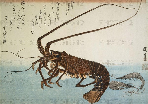 Lobster and Shrimps, 1832-1834. Creator: Hiroshige, Utagawa (1797-1858).