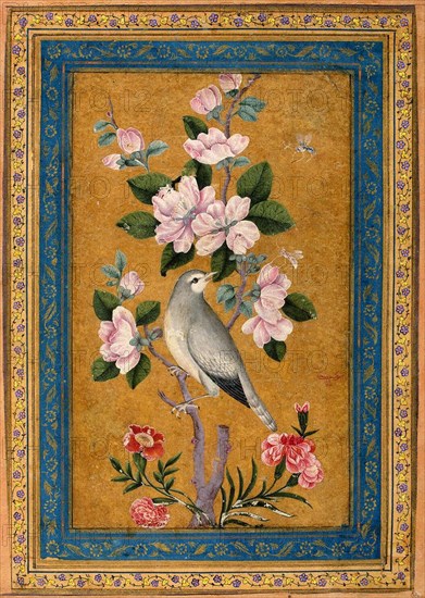 Bird Perching on a Blossoming Branch, 1696.  Creator: Yusuf Zaman (17th century).