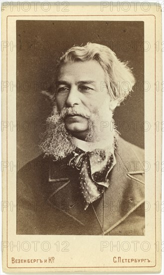 Portrait of the writer Dmitry Grigorovich (1822-1899), Between 1880 and 1886.