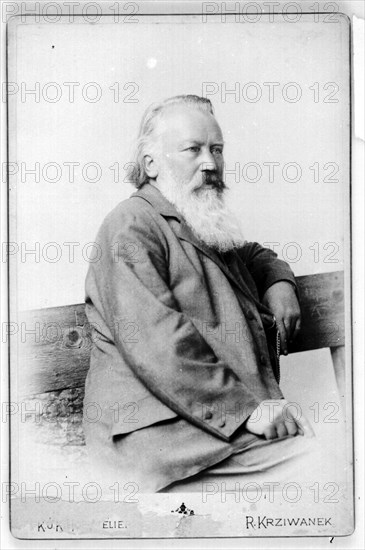 Portrait of Johannes Brahms (1833-1897).