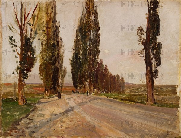 Boulevard of Poplars near Plankenberg, c. 1890. Artist: Schindler, Emil Jakob (1842-1892)